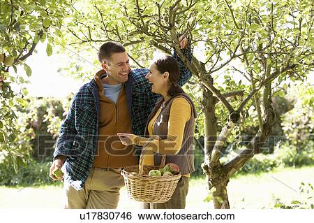 Stock Photograph - Couple picking apples in garden. Fotosearch