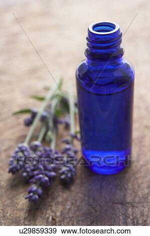 Lavender flowers and scent bottle View Large Photo Image Stock Photo - Lavender flowers and scent bottle. Fotosearch