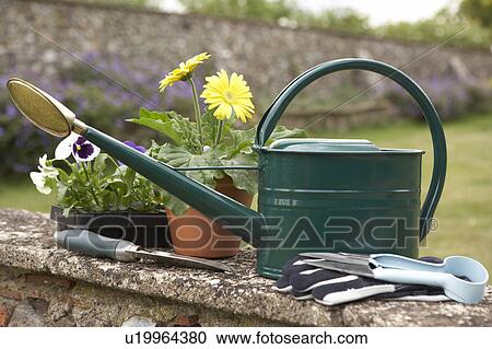 Still Life Of Gardening Equipment View Large Photo Image Stock Image - Still Life Of Gardening Equipment. Fotosearch