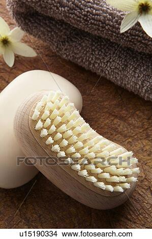 Still life View Large Photo Image Picture - Still life. Fotosearch