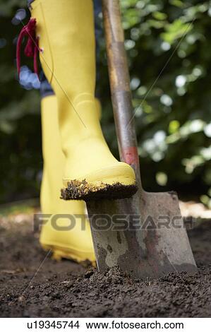 Woman digging in garden View Large Photo Image Picture - Woman digging in garden. Fotosearch