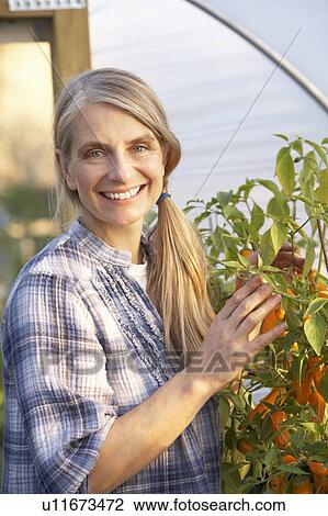 Woman working in greenhouse View Large Photo Image Stock Image - Woman working in greenhouse. Fotosearch