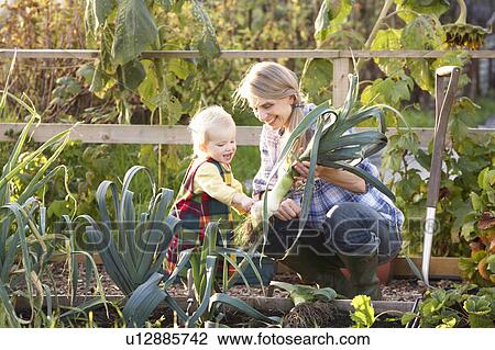 Woman working on allotment with child View Large Photo Image Stock Image - Woman working on allotment with child. Fotosearch