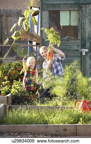 Woman working on allotment with child View Large Photo Image Stock Photo - Woman working on allotment with child. Fotosearch