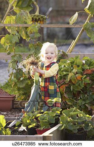 Stock Photography - Young child on allotment. Fotosearch