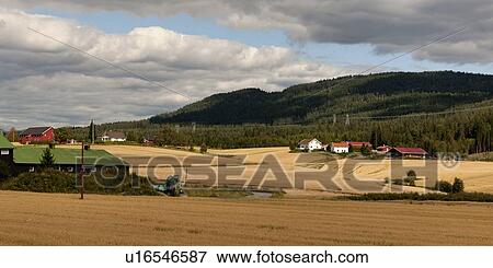 Stock Photo - Agricultural fields with mountain in the background, Norway. Fotosearch