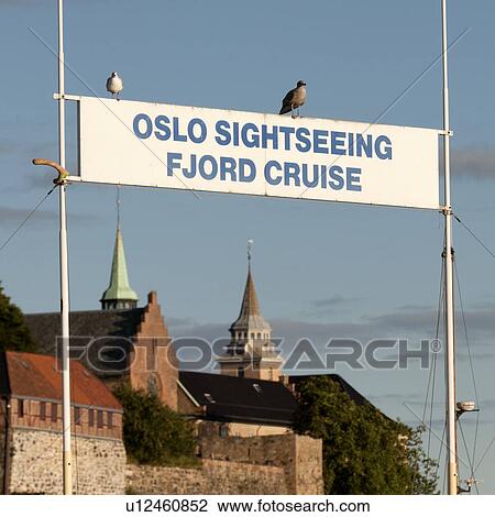 Birds perching on an information sign with a fort in the background, Akershus Fortress, Oslofjord, Oslo, Norway View Large Photo Image Stock Image - Birds perching on an information sign with a fort in the background, Akershus Fortress, Oslofjord, Oslo, Norway. Fotosearch