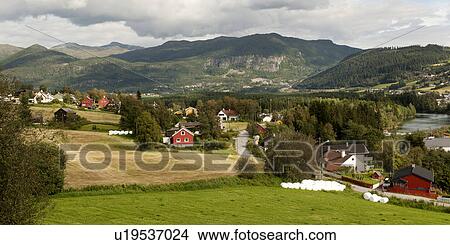 Farmhouses in a field, Norway View Large Photo Image Picture - Farmhouses in a field, Norway. Fotosearch