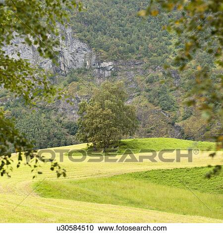 Stock Image - Landscape with mountain in the background, Flam, Norway. Fotosearch