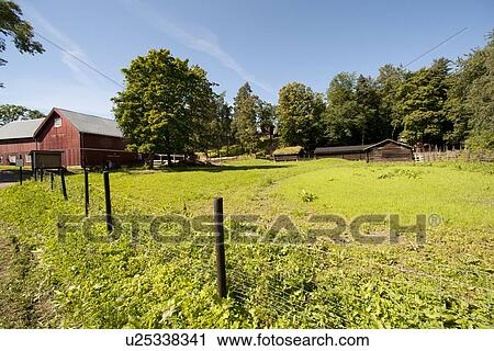 Stock Image - Log houses in Norsk Folkemuseum, Bygdoy, Oslo, Norway. Fotosearch