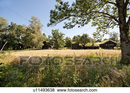 Log houses in Norsk Folkemuseum, Bygdoy, Oslo, Norway View Large Photo Image Stock Photo - Log houses in Norsk Folkemuseum, Bygdoy, Oslo, Norway. Fotosearch