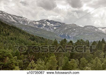 Stock Photo - Low angle view of mountains, Norway. Fotosearch