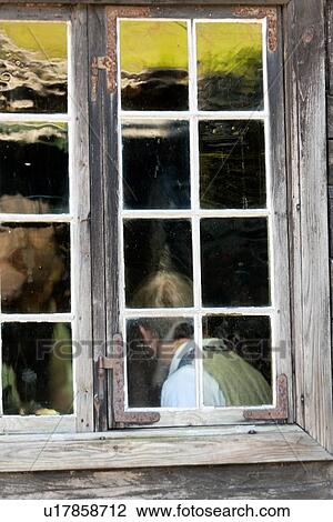 Stock Image - Man in a museum viewed through a window, Norsk Folkemuseum, Oslo, Norway. Fotosearch
