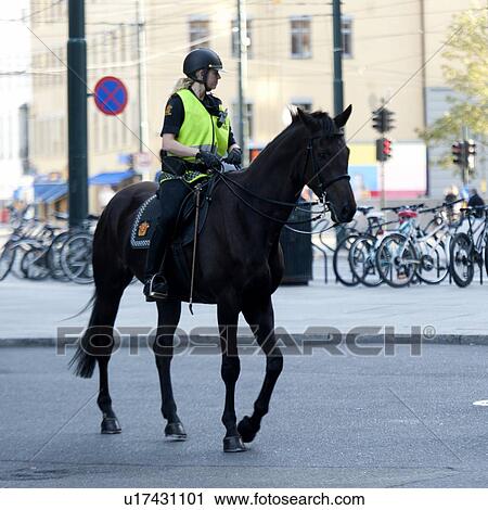 Mounted policewoman on horseback patrol, Oslo, Norway View Large Photo Image Stock Image - Mounted policewoman on horseback patrol, Oslo, Norway. Fotosearch