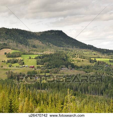 Panoramic view of highlands, Norway View Large Photo Image Stock Image - Panoramic view of highlands, Norway. Fotosearch