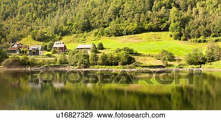 Reflection of trees on water, Norway View Large Photo Image Stock Photo - Reflection of trees on water, Norway. Fotosearch