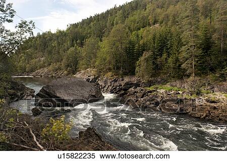 Stock Photography - River flowing through a forest, Norway. Fotosearch