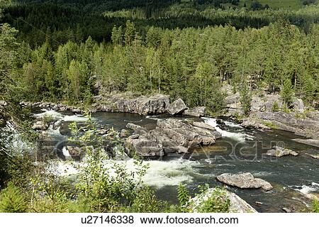 Stock Photo - River flowing through a forest, Highlands, Norway. Fotosearch