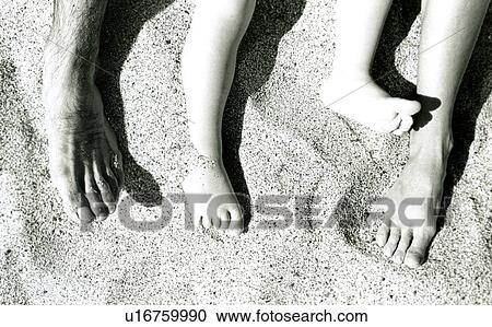 Human feet on sand View Large Photo Image Stock Image - Human feet on sand. Fotosearch