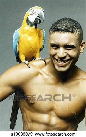 Blue and yellow macaw perching on a young man's shoulder View Large Photo Image Stock Photo - Blue and yellow macaw perching on a young man's shoulder. Fotosearch