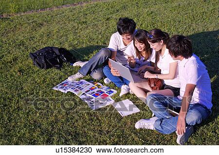 Four people sitting on the lawn and looking at the laptop together, View Large Photo Image Stock Image - Four people sitting on the lawn and looking at the laptop together,. Fotosearch