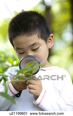 Boy holding magnifying glass on leaf and looking down View Large Photo Image Stock Image - Boy holding magnifying glass on leaf and looking down. Fotosearch