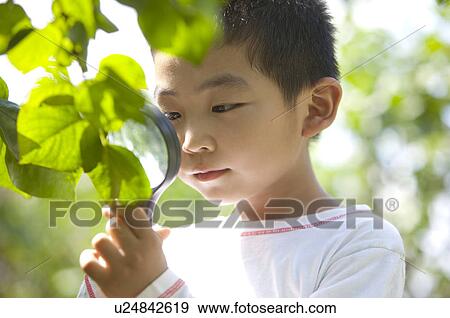 Stock Photo - Boy holding magnifying glass on the leaf. Fotosearch