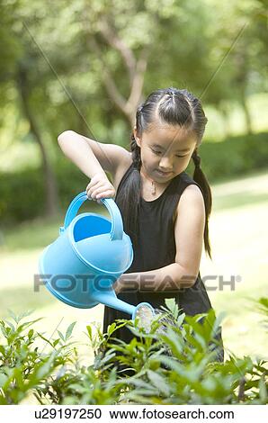 Girl holding watering can and watering on trees, Child, View Large Photo Image Stock Image - Girl holding watering can and watering on trees, Child,. Fotosearch