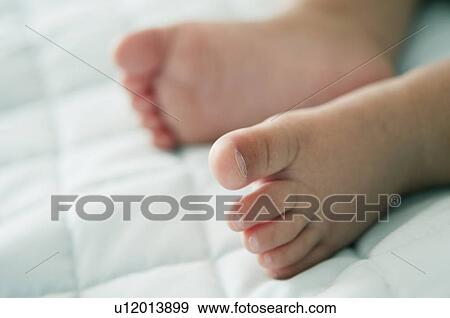 Stock Photo - Closeup of baby's feet. Fotosearch
