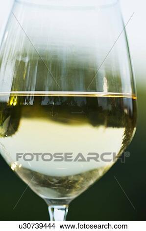 Picture - Glass of white wine in vineyard. Fotosearch