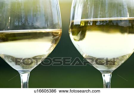 Stock Photograph - Two glasses of white wine in vineyard. Fotosearch
