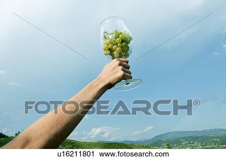 Stock Image - Hand of young woman holding a wineglass of white grapes in the air. Fotosearch