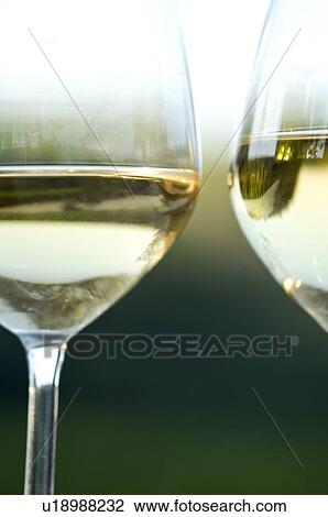 Stock Image - Two glasses of white wine in vineyard. Fotosearch