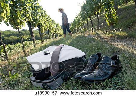 Stock Photo - Young man in casual dress in vineyard with business attire in foreground. Fotosearch