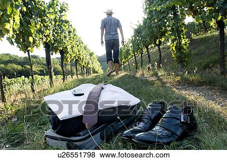 Young man in casual dress in vineyard with business attire in foreground View Large Photo Image Stock Photo - Young man in casual dress in vineyard with business attire in foreground. Fotosearch