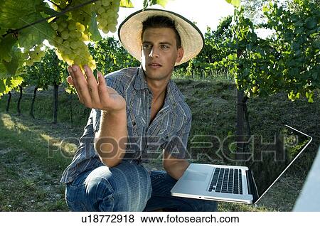 Stock Photo - Young man in vineyard holding laptop. Fotosearch