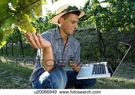 Young man in vineyard holding laptop View Large Photo Image Stock Photo - Young man in vineyard holding laptop. Fotosearch
