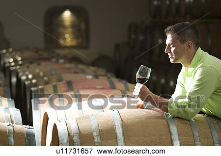 Young man in wine cellar with glass of red wine View Large Photo Image Stock Photo - Young man in wine cellar with glass of red wine. Fotosearch