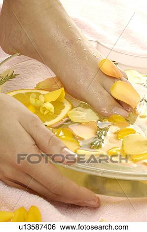 Footbath with limes and rose blossoms View Large Photo Image Stock Photograph - Footbath with limes and rose blossoms. Fotosearch