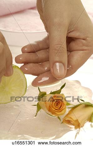 Stock Image - Handbath with limes and rose blossoms. Fotosearch