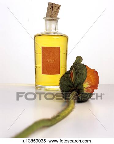 Stock Photography - Poppy oil (with poppy). Fotosearch