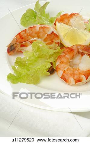 Salad with shrimps View Large Photo Image Stock Image - Salad with shrimps. Fotosearch