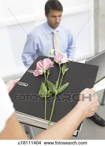 Picture - Rose on a file. Fotosearch