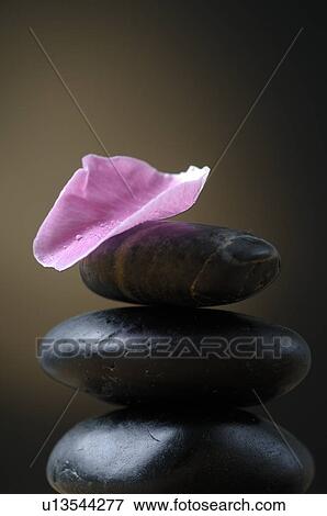 Black stones and a pink petal View Large Photo Image Stock Photo - Black stones and a pink petal. Fotosearch