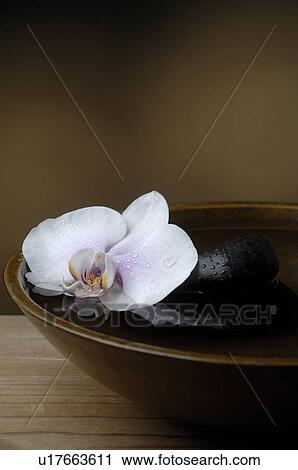 Bowl with a orchid blossom and a black stone View Large Photo Image Stock Image - Bowl with a orchid blossom and a black stone. Fotosearch
