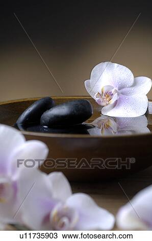 Stock Image - Bowl with black stones and orchid blossoms. Fotosearch