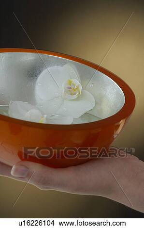 Picture - Bowl with orchid blossoms. Fotosearch