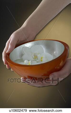 Bowl with petals View Large Photo Image Stock Photo - Bowl with petals. Fotosearch
