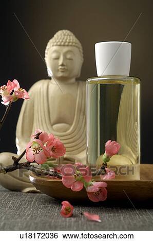 Buddha with a cosmetic bottle and cherry blossoms View Large Photo Image Stock Photograph - Buddha with a cosmetic bottle and cherry blossoms. Fotosearch