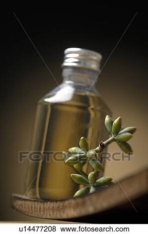Glasswort and Oil View Large Photo Image Stock Photo - Glasswort and Oil. Fotosearch